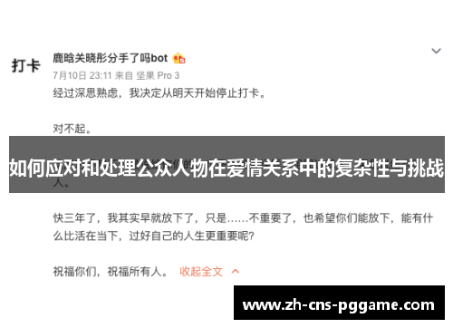 如何应对和处理公众人物在爱情关系中的复杂性与挑战