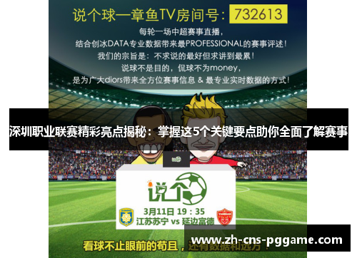 深圳职业联赛精彩亮点揭秘：掌握这5个关键要点助你全面了解赛事
