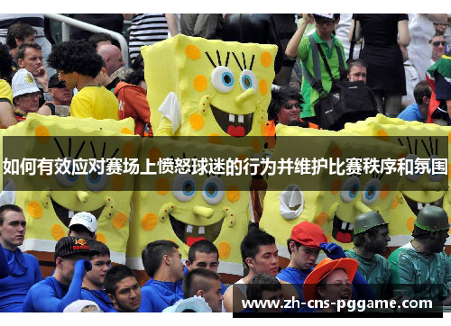 如何有效应对赛场上愤怒球迷的行为并维护比赛秩序和氛围