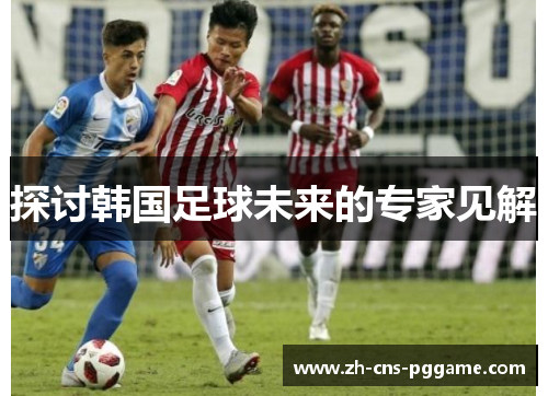 探讨韩国足球未来的专家见解