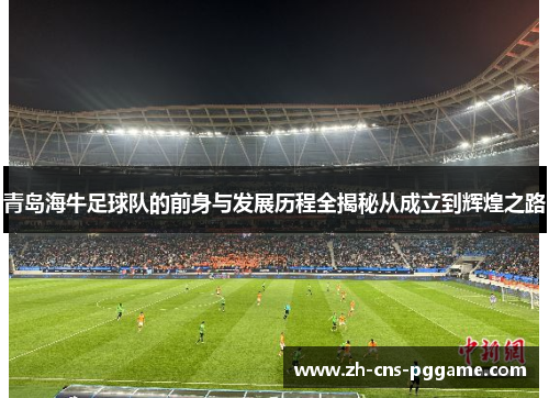 青岛海牛足球队的前身与发展历程全揭秘从成立到辉煌之路