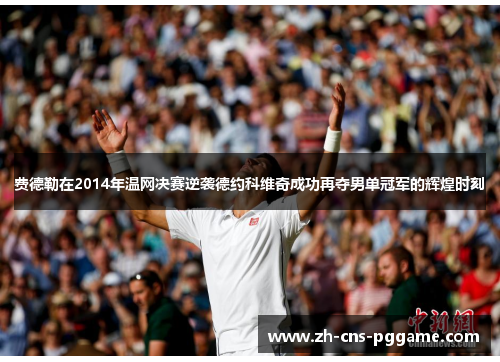 费德勒在2014年温网决赛逆袭德约科维奇成功再夺男单冠军的辉煌时刻