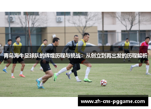 青岛海牛足球队的辉煌历程与挑战：从创立到再出发的历程解析