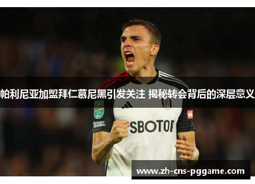 帕利尼亚加盟拜仁慕尼黑引发关注 揭秘转会背后的深层意义