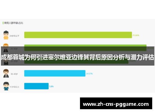 成都蓉城为何引进塞尔维亚边锋其背后原因分析与潜力评估